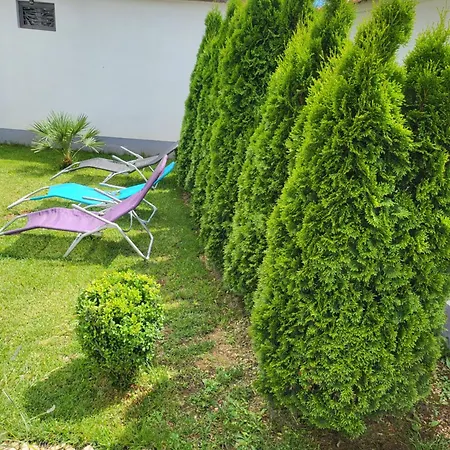 Vila Dolce Vita Villa *
